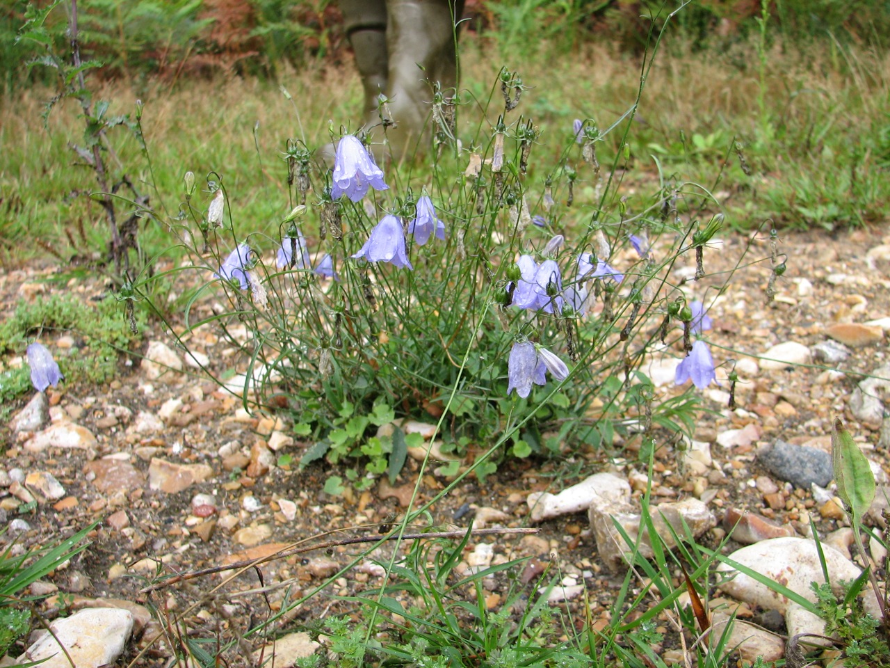 2011 09 04 Sortie Myco Croix Pater 10